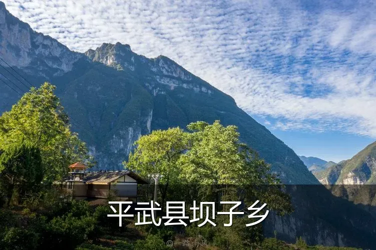 平武县坝子乡